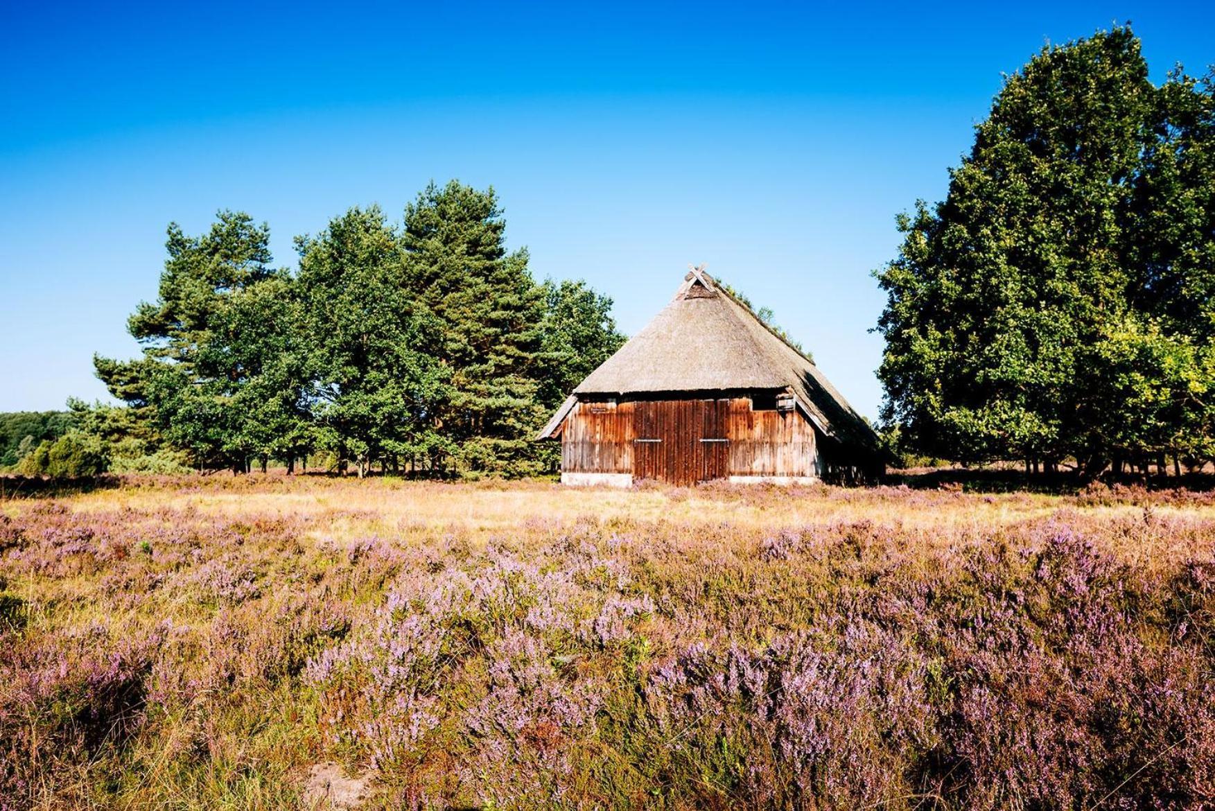 比斯平根Heidehof Oberhaverbeck别墅 外观 照片
