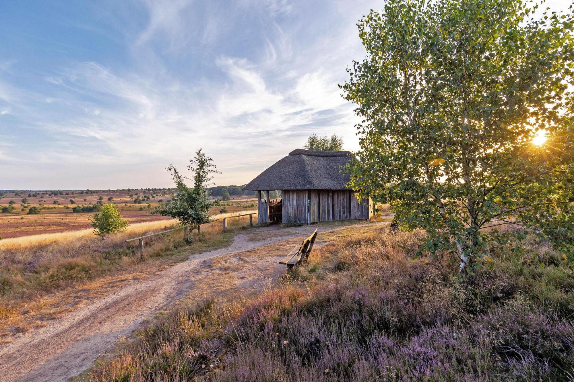 比斯平根Heidehof Oberhaverbeck别墅 外观 照片